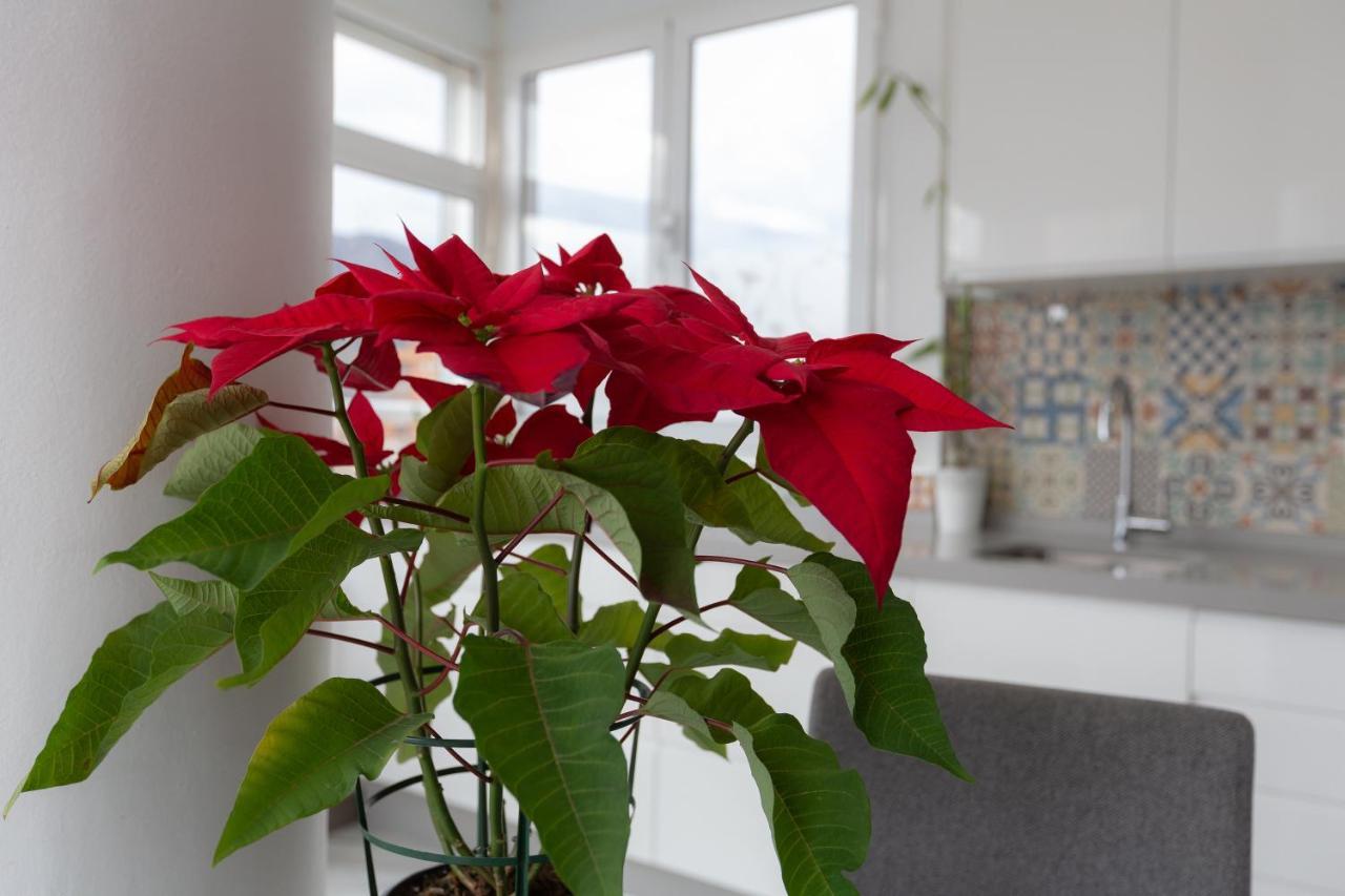 Apt Playa Y Montana Apartment Торемолинос Екстериор снимка